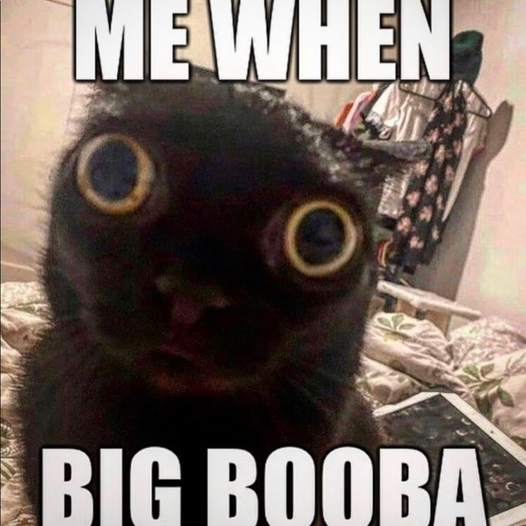 Meet your Posher, Autumn - Picture 1 of 1